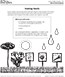 Chapter 6 - Sowing Seeds Activity (PDF)